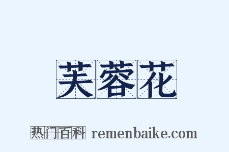 芙蓉花是什么意思的图片